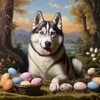麻花星空影视有限公司官网最新版